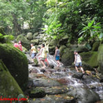 {hienthi_nhomsanpham}